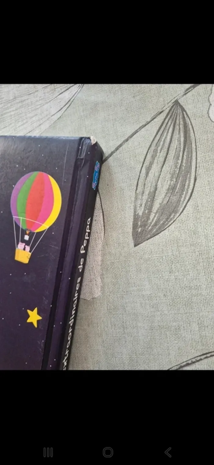 Grand livre peppa - photo numéro 7