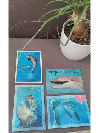 Lot de 4 cartes postales dauphins