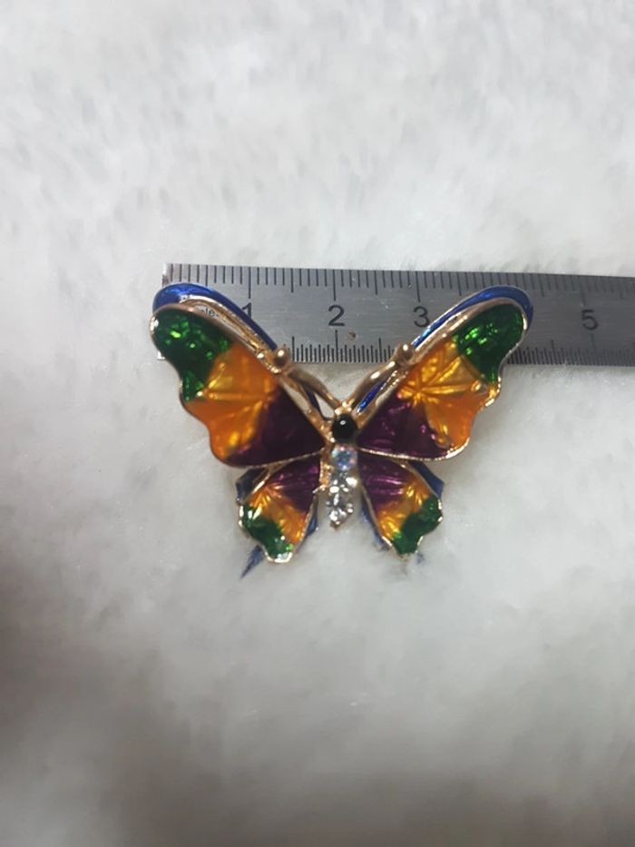Papillon multicolore - photo numéro 6