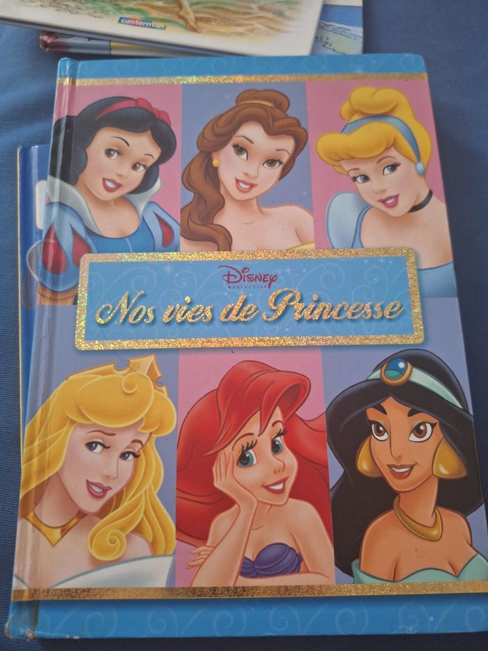 Livre nos vies de princesses