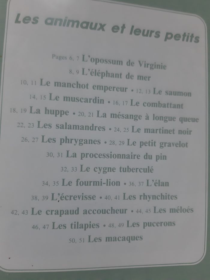 3 livres sur les animaux 7 / 8 ans - La vie secrète des bêtes - photo numéro 9