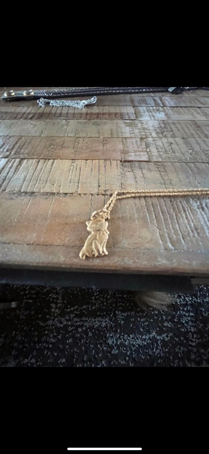 Collier chat - photo numéro 2