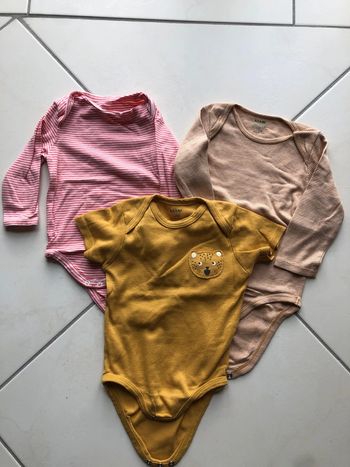 Lot 3 bodies 12 mois