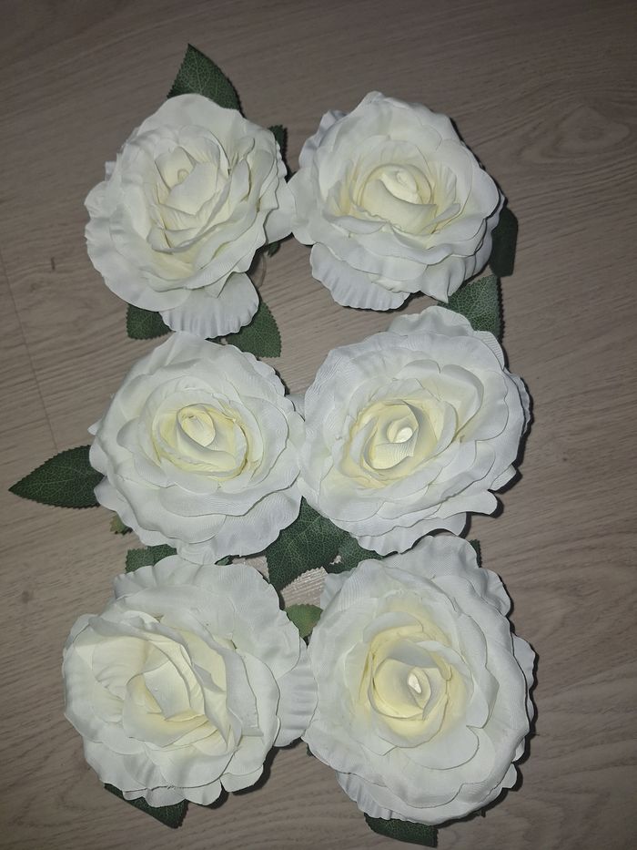 6 roses blanche a ventouse 13 cm de diamètre