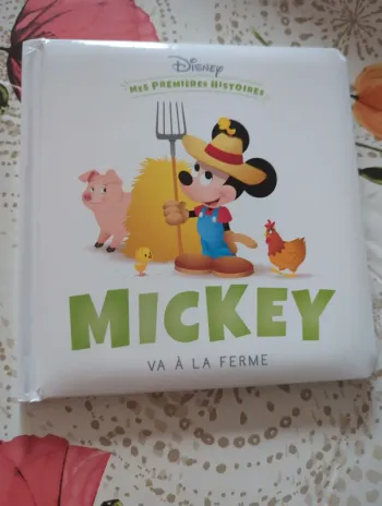Livre Mickey