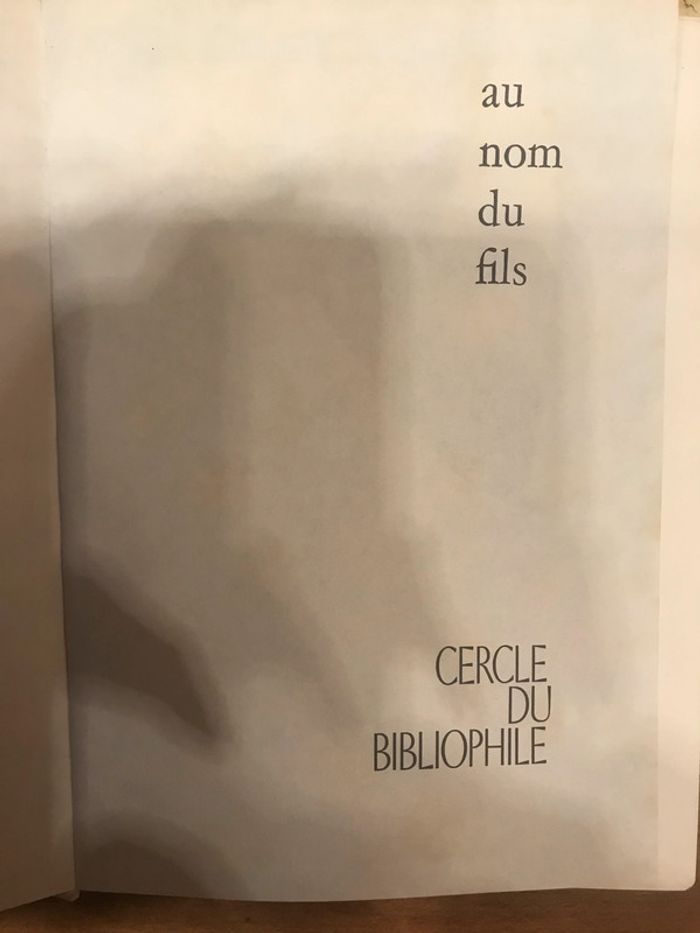 au nom du fils - photo numéro 2