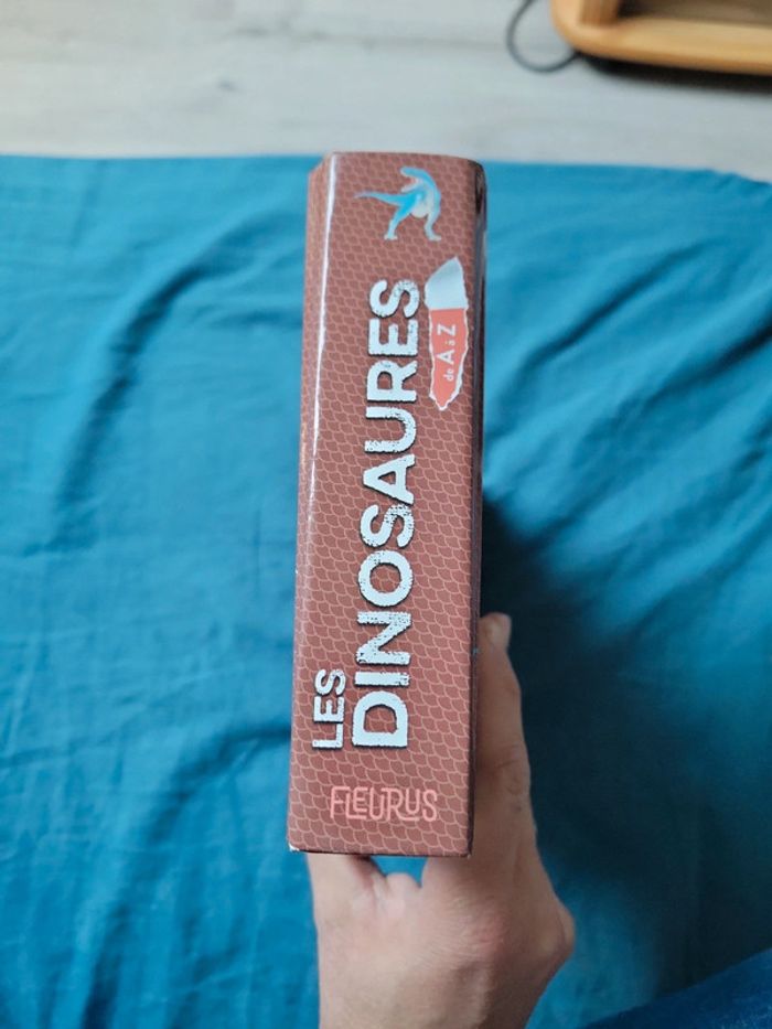 Livre sur les dinosaures enfant - photo numéro 2