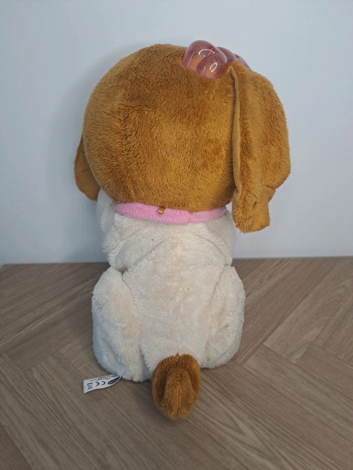 Chien - photo numéro 3