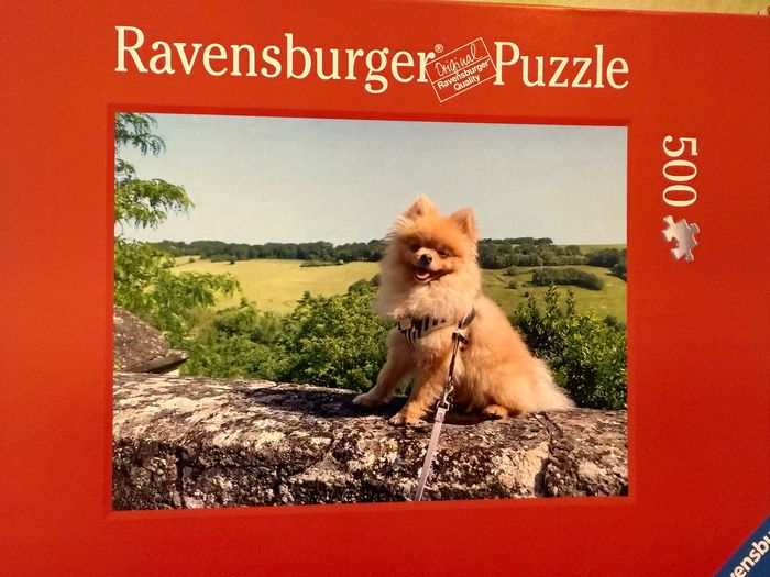 Puzzle 500 pièces - Loulou de Poméranie - photo numéro 2