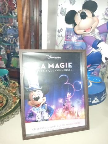 Cadre 30 ans de magie Disneyland Paris