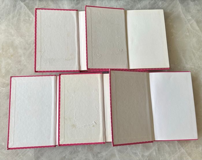 Lot de 5 Livres de la collection « Lecture Club Benjamin » - photo numéro 5