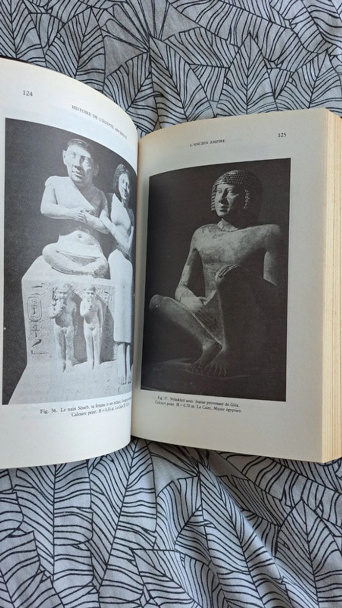 Histoire de l'Égypte ancienne - photo numéro 5