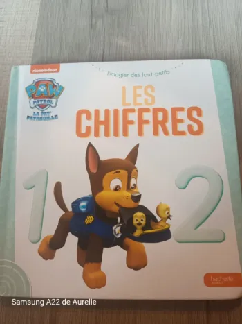 Livre Les chiffres Pat Patrouille