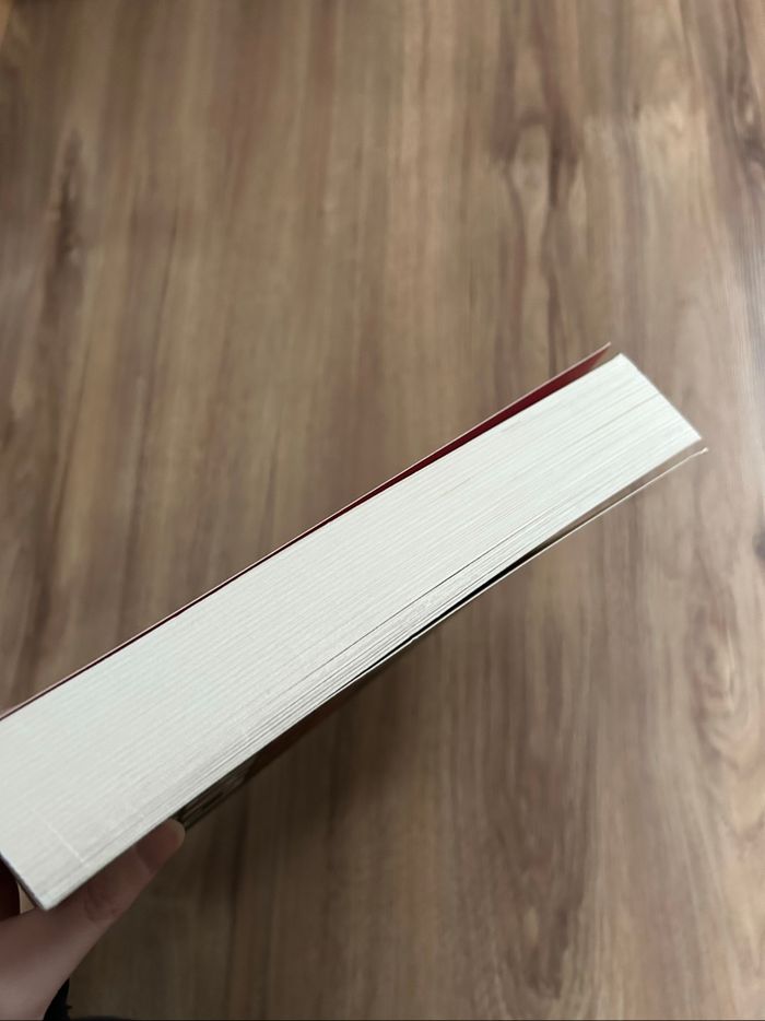 Livre de Donato Carrisi «Le jeu du chuchoteur» Tome 4 - photo numéro 8