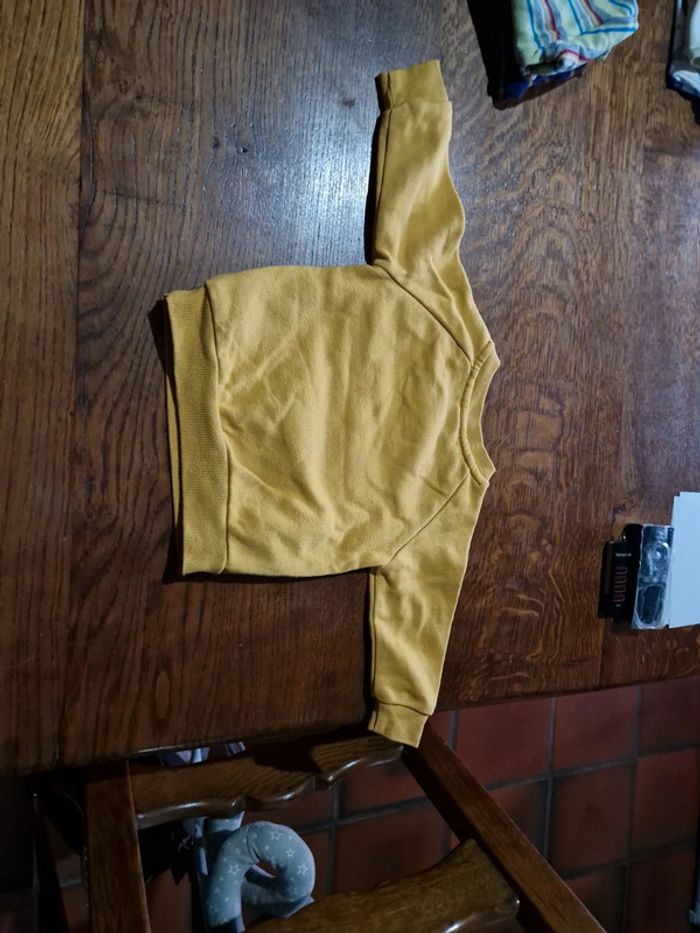 Pull simba - photo numéro 3