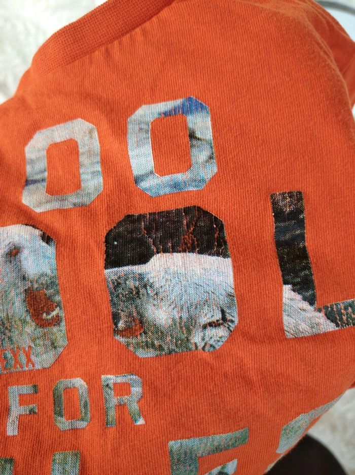 Tee shirt chemise manches longues Garçon 12/18 mois Too cool for rules Mexx 100% coton - photo numéro 9