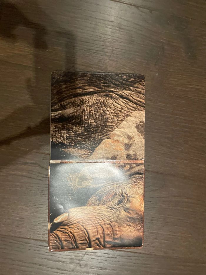 Drôles de peaux! - photo numéro 6