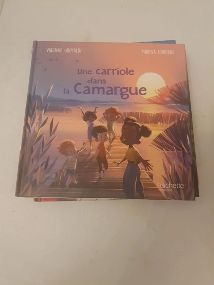 Lot de 6 livres merveille de france - photo numéro 2