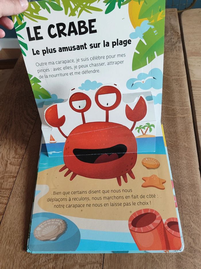 Animaux de la mer - photo numéro 14