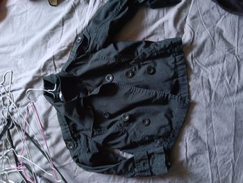 Veste