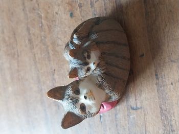 Statuette décorative – 2 chats blottis sur coussin rouge résine