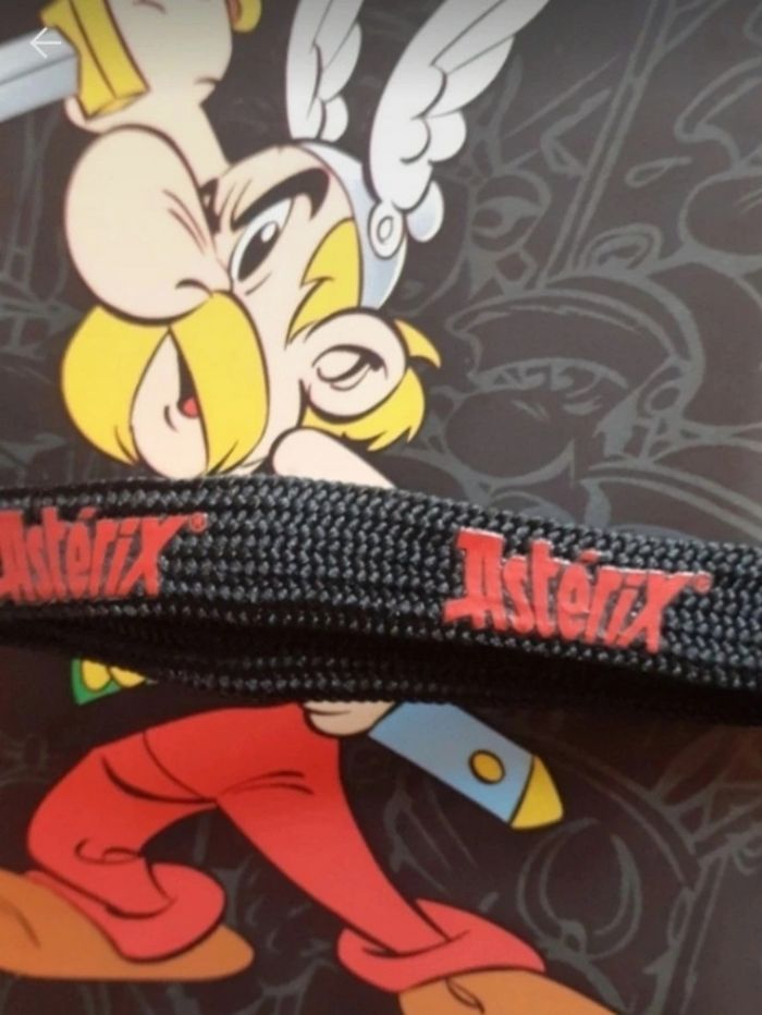 Astérix : Astérix : Sacoche rigide protection 3 D.S / DSI /DS Lite/ NEW  3 DS - photo numéro 4