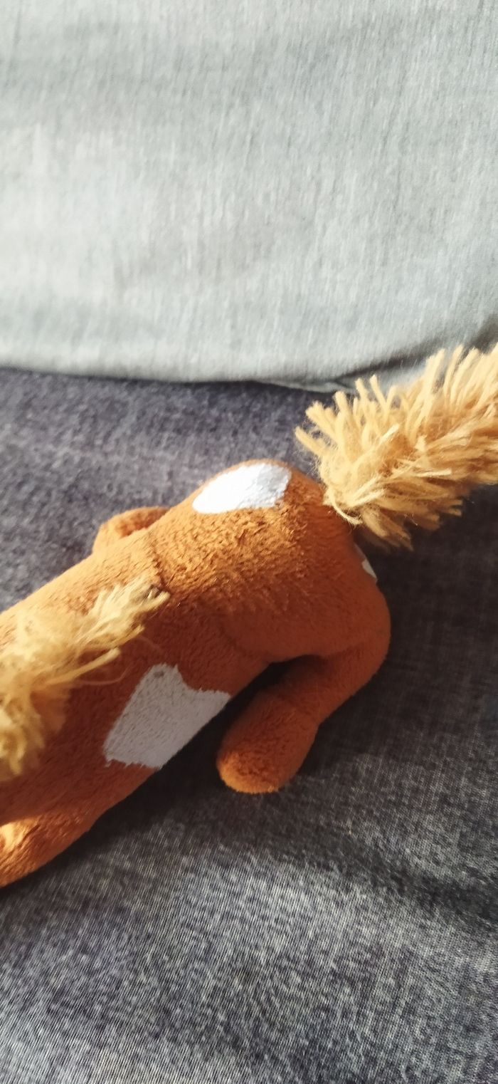 Petit cheval - photo numéro 3