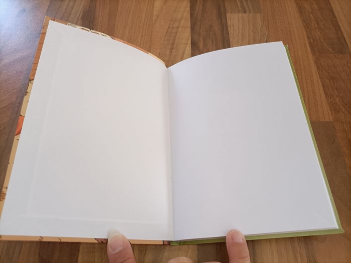 Livre Triple Galop tome 4 Sacré Western - photo numéro 6