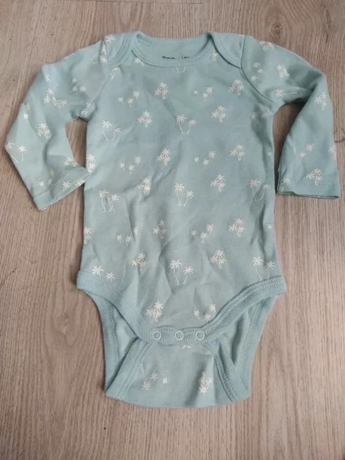 Bodies palmier - photo numéro 4