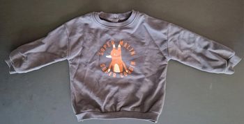 Pull chaud garçon La redoute bleu malin 94 cm