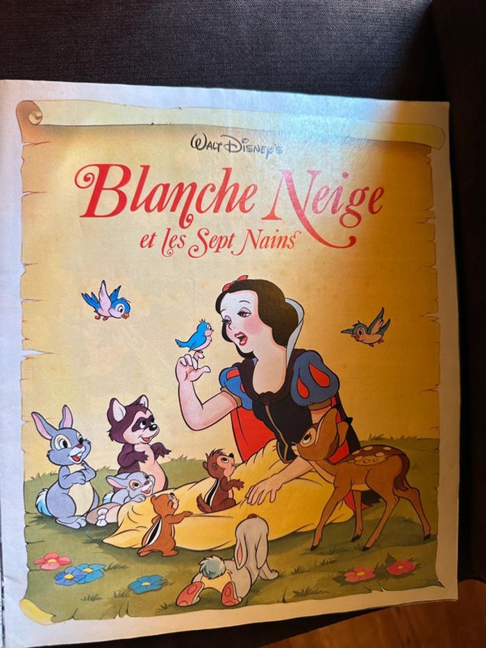 Album images Panini complet Walt Disney Blanche Neige Snow White stickers - photo numéro 5