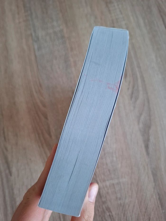 Mille et un coup de folie, livre de Flora Stark - photo numéro 10