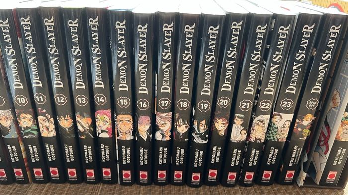 🔥 Lot Manga DEMON SLAYER – Intégrale + Collector Tome 1 + Coffret Tome 23 + Spin-off - photo numéro 3