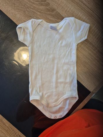 Body manches courtes