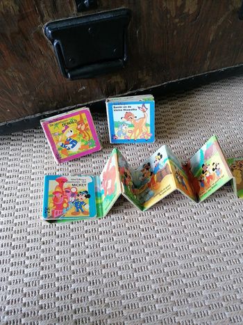 Livre accordéon Disney vintage