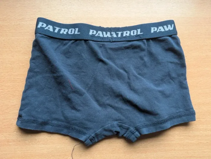 Boxer pat patrouille 6 ans - photo numéro 2