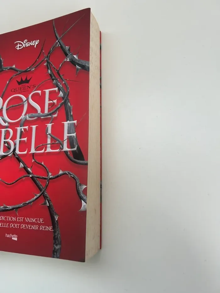 Livre d’Emma Thériault - Rose rebelle - photo numéro 2