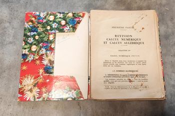 Révision calcul numérique et calcul algébrique