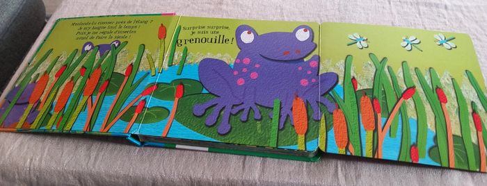 Surprise surprise Qui es tu ? - photo numéro 2