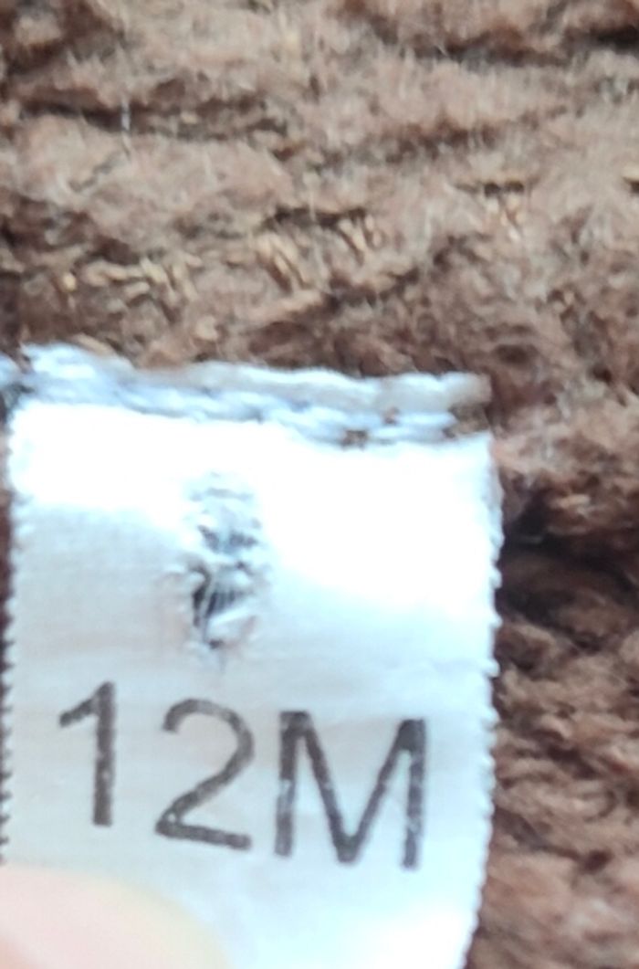 Veste à capuche taille 12 mois/ 1 ans - photo numéro 2