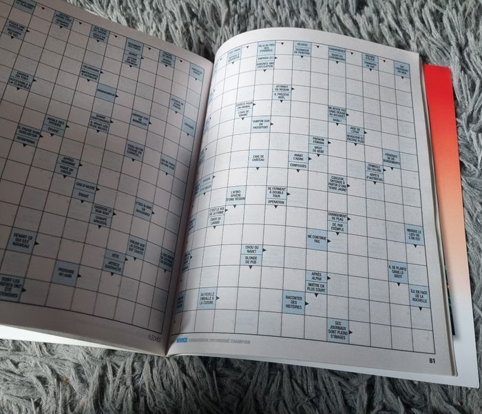 Livre de jeu fléchés (novice) niveau 2 (83grilles) - photo numéro 4