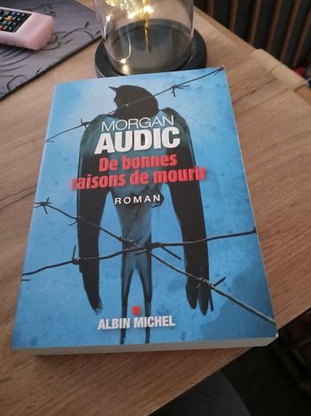LIVRE DE BONNES RAISONS DE MOURRIR DE MORGAN AUDIC *