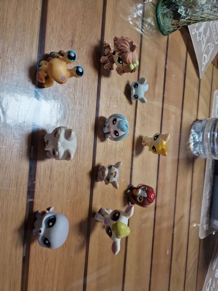 Lot petshop (8) - photo numéro 8