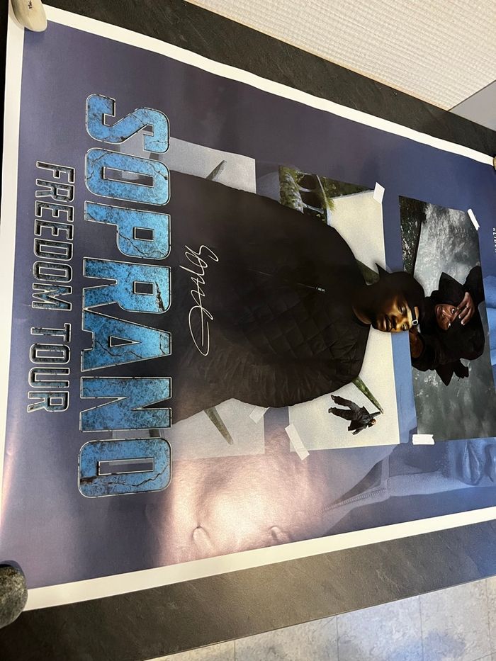 Poster soprano freedom tour - photo numéro 3