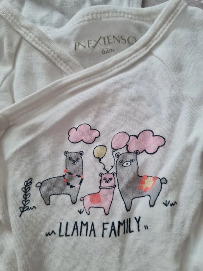 Lots de 5 bodies manche longue - photo numéro 6