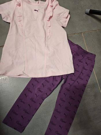 Ensemble puma