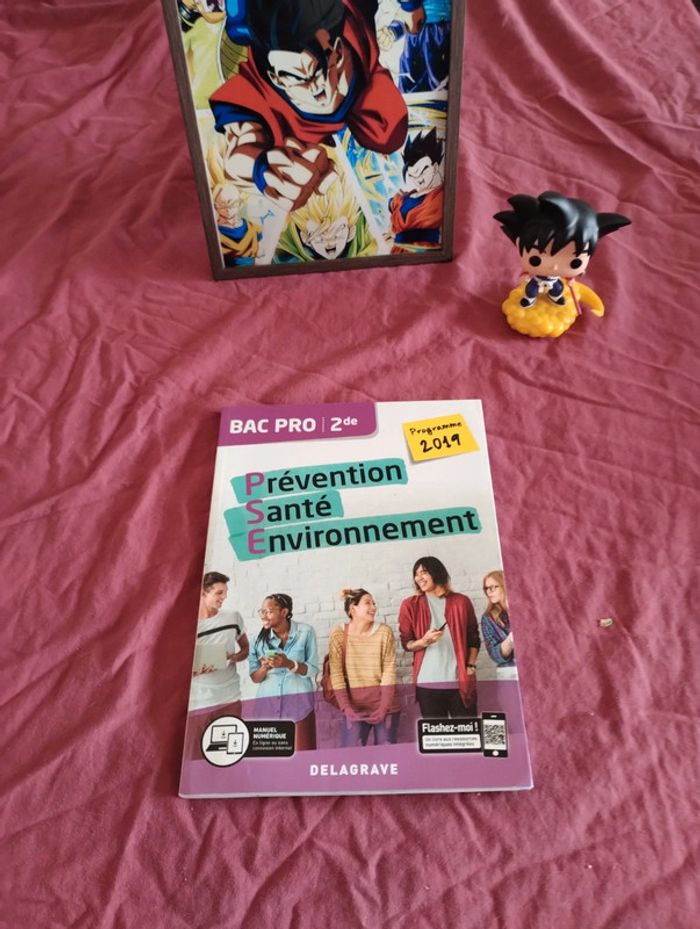 Prévention santé environnement 2de bac pro - photo numéro 2