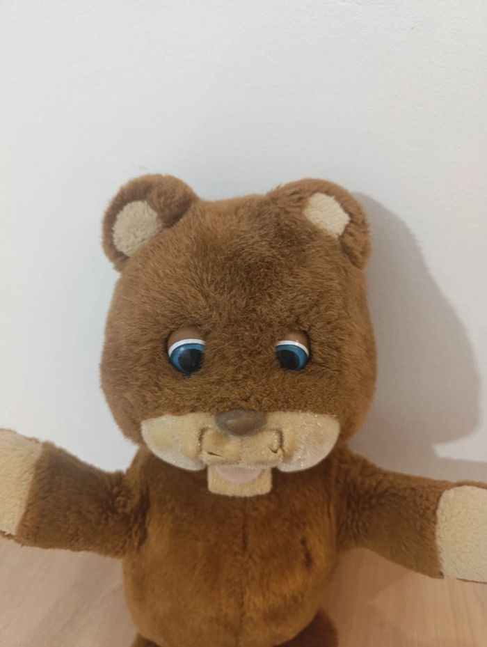 L'Ours gaby sans lecteur cassette - photo numéro 2