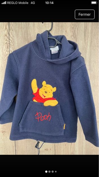 Pull chaud Disney land Paris
