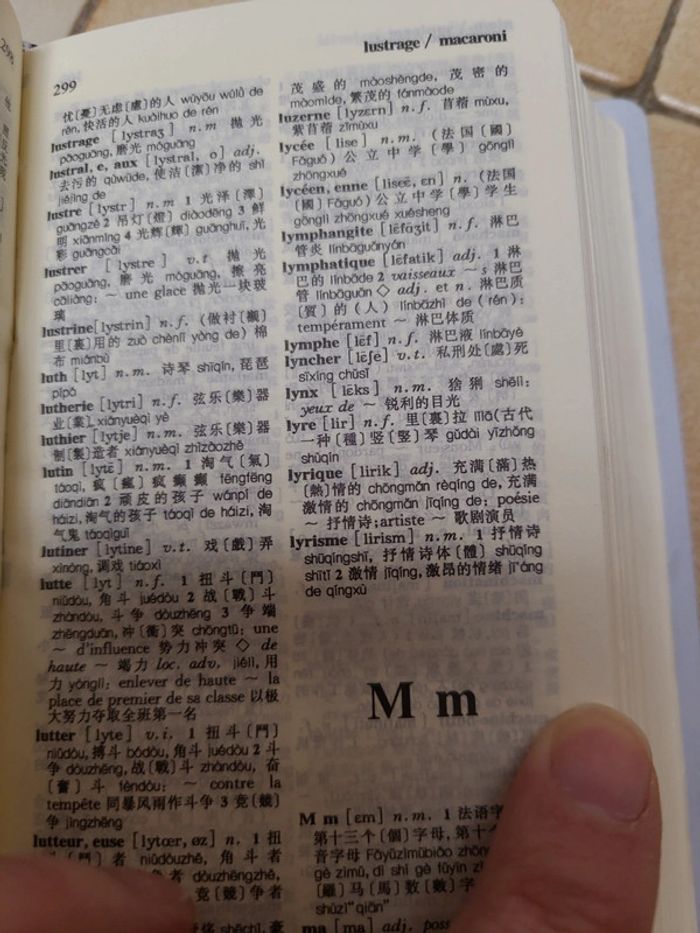 Dictionnaire Français-Chinois - photo numéro 4